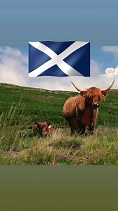 9.8K views · 902 reactions | Scotland the brave  | Scottish Heritage | Facebook