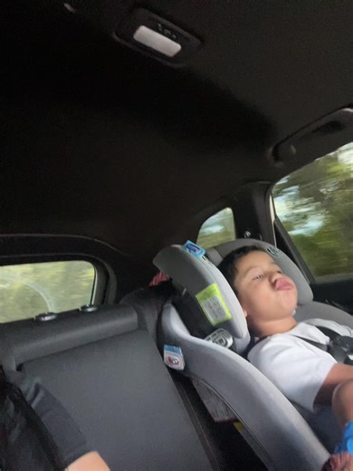 Love my backseat buddy! #roadtripping | Road Trip Videos