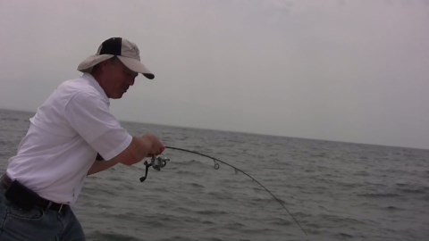 Jigging for sheepshead - how to jig for freshwater drum