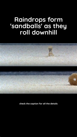 Rolling raindrops form sand-coated shapes that move far more soil than the initial splash