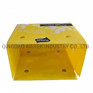 [Hot Item] Collapsible PP Coroplast Box for Food Packing