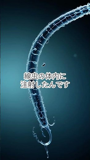 【遺伝子のスイッチをOFF！？】線虫の動きがおかしくなる魔法の技術「RNA干渉」🧬🐛#RNA干渉 #RNAi #ノーベル生理学医学賞 #バイオテクノロジー #生命科学 #遺伝子 #科学 #理系