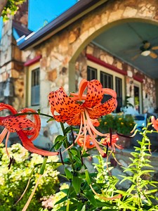 5.5K views · 88 reactions | If you're daydreaming about escaping for...