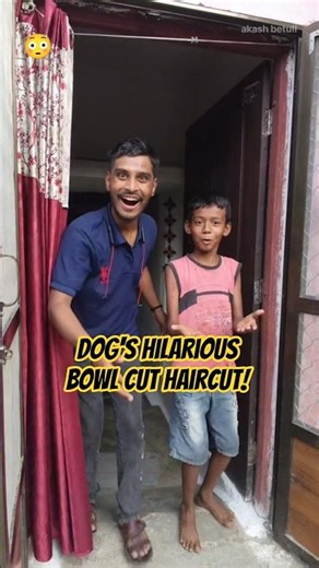 Dog's Hilarious Bowl Cut Haircut! 😂 Funny Dog 😂😂 #akashbetuli #funny #shorts