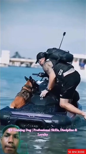 K9 Training Dog | Professional Skills, Discipline & Loyalty #dogtraining #loyaldog #k9master