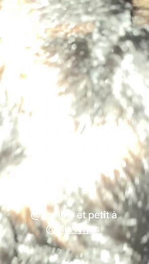 Vidéos de 🔱🔥🍾 BiNoX 👻🦅⏱️ (@binox_eagle_style) avec son original - overse urban street