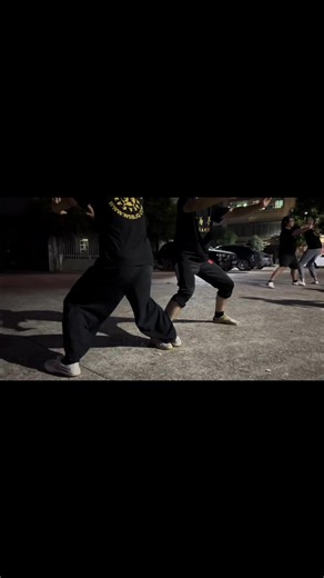 Bajiquan八极拳Eight Extremes Boxing功夫 kongfu#bajiquan#八极拳#铁山靠#顶心肘#kongfu | Eight Extremes Boxing