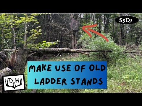 Repurpose Old Ladder Stands for Hunting Thick Places
