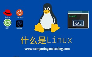 [中英双语] 什么是Linux（2023）| Computing & Coding
