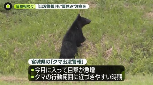 クマ目撃相次ぐ　ゴルフ場に出没…シカ襲う映像も　「出没警報」も発表（日テレNEWS NNN）