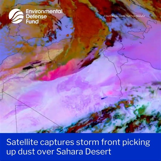 Satellite footage shows a storm front dispersing a cloud of dust and sand from the Sahara Desert over North Africa on Tuesday. A recent report from Copernicus, part of the European Union’s space program, said winter 2024 has seen a relatively high number of intense Saharan dust intrusions over Europe and Latin America. This caused hazy skies and poor air quality in the Canary Islands in December, the report said. Another large plume, captured in NASA footage, reached South America and Scandinavi
