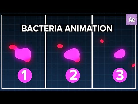 Bacteria Animation in After Effects Tutorial