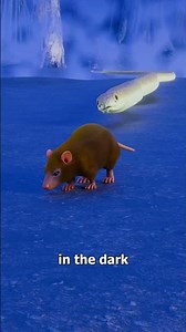 Do Snakes Have Heat Vision 😳