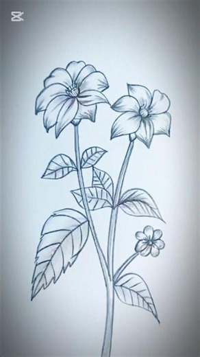 Beautiful Flower Drawing | Easy Step by Step Pencil Shading | Simple Flower Sketch Tutorial