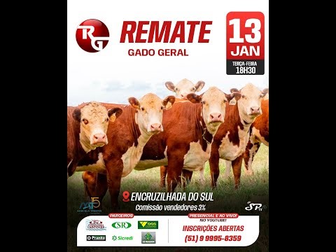 REMATE | RG NEGÓCIOS RURAIS E IMOBILIÁRIOS (13/01/2026) 18:30h - Encruzilhada do Sul/RS