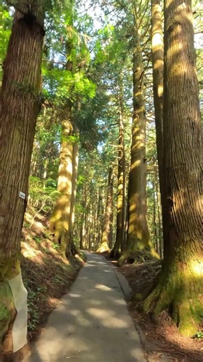 Summer Hike on Mount Mitake 🌲🥾