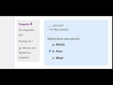 MO6, semana 1. Practice exercise “Wh Word”, 2020.