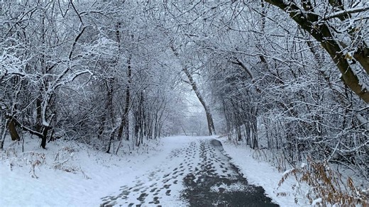 WEEKEND WEATHER: Freezing rain, snow forecast in southern Ontario | insauga