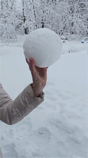 Make perfect snowball with a bowl #shorts #snow