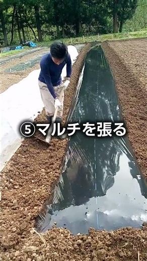 野菜の苗を植えるまでの準備 #農業 #家庭菜園 #野菜作り