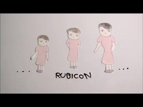 The Nine year Transition - An Animation