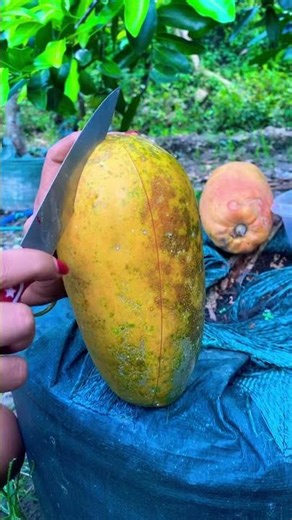 Buah kaya manfaat dan banyak mengandung vitamin #viralvideo