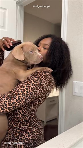 Puppy Morning Routine 🐾🫧🧼 #dogmom #cute-001 #puppy #morningroutine #dogsoftiktok | CatandDog Reels