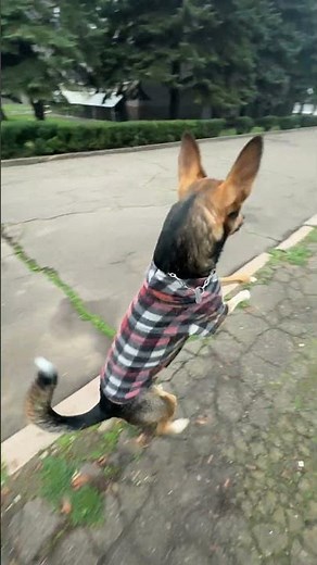 Let's run to meet a friend🥰 #lucky #meets#friends#morning#