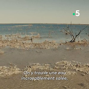 1.6M views · 4.8K reactions | Dans le monde, entre 20 et 30 millions de puits de pétrole et de gaz sont laissés pour compte. Enquête sur ce désastre écologique dans « Les fantômes du pétrole »  bit.ly/LMEF-petroleFTV | France tv nature | Facebook