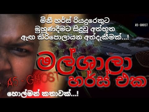 මීනී හර්ස් රියදුරාට මගදී ගෙන යන මිනියම මුණගැසෙයි ....!