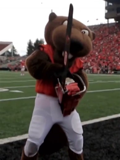 Oregon State's Turnover Chainsaw: A Play on Words Genius