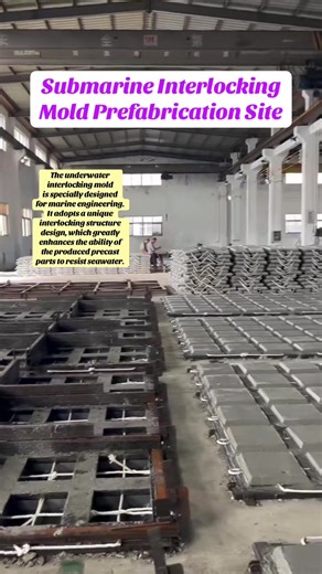 The underwater interlocking mold is specially designed for marine engineering. It adopts a unique interlocking structure design, which greatly enhances the ability of the produced precast parts to resist seawater.#mold #Concrete molds#Seaside protection#Wave-breaking stone mold#Undersea Interlocking Mold