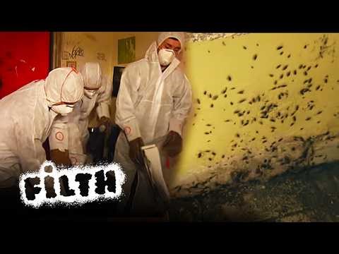 The WORST Infestation Cleaners Have Seen | Part 1 | Filth