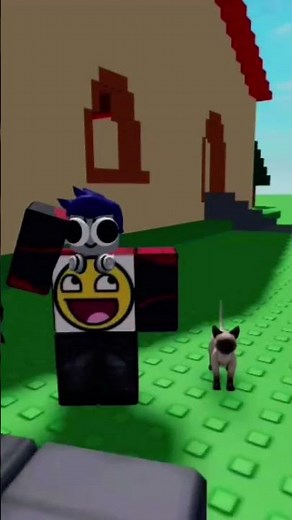 cat BAD #roblox #robloxedit #memes