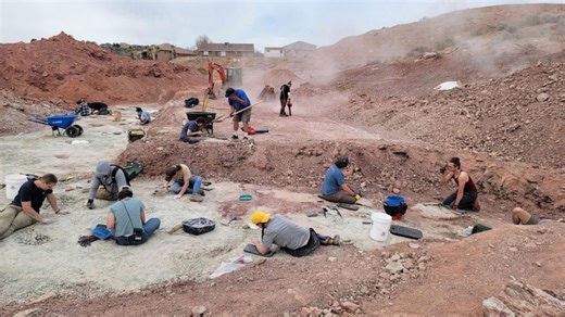 'Life finds a way': Northern Corridor project could dig up new fossils, Utah expert says