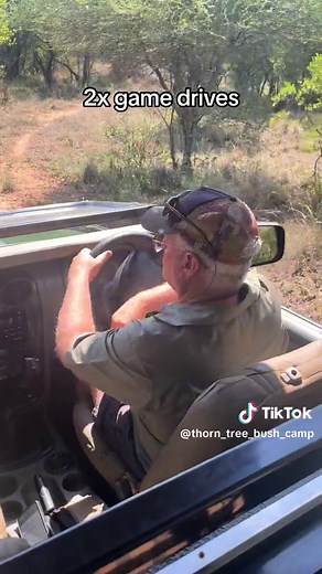 Luxury Glamping Experience at Thorn Tree Bush Camp near Pretoria