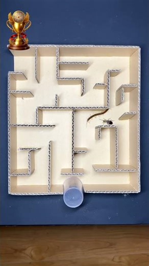 “Cockroach vs Earwig — Maze Test!”#shortvideo