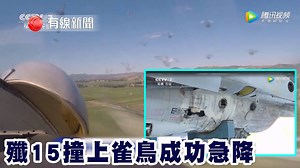 35K views · 326 reactions | 【殲15撞上雀鳥成功急降】...
