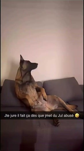 il l'a matrixé
