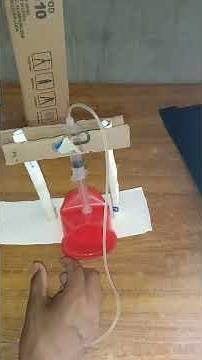 Hydraulic Lift Working Model | School Science Experiments | Easy Science Fair Project | Cardboard