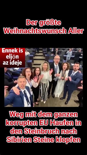 Alfred Bermes on Reels