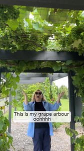 Let’s take a better look at my grape arbour! It took a while to get going, but once it started there was no stopping it! Here's some tips to grow your own 👇 Angie💚 🍇Choose a sunny spot with well-drained soil and a strong support structure, such as a pergola, sturdy fence or trellis. Enrich the soil with Yates Dynamic Lifter Soil Improver & Plant Fertiliser. If the soil is clay based, add gypsum and fork in well. Dig the planting hole twice as wide and to the same depth as the root-ball. Remov