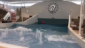 92K views · 855 reactions | With just 11 days to go until we open our...