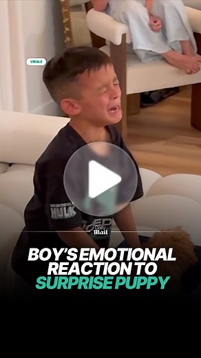 1M views · 41K reactions | He had no idea he was getting the real deal 梁 | Daily Mail Animals | Facebook