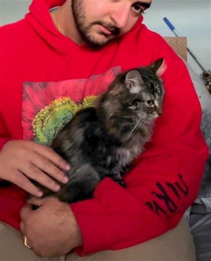 22K views · 4.8K reactions | Well done to my amazing carer Jeremiah for taming the spicy kittens Look at little Izzy If you are interested in adopting this little fluff Ball she will be ready very soon. She is going in for desexing next Tuesday. Look how beautiful she is  | My Little Kittie | Facebook