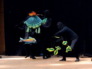 Butterfly! Story of a Life Cycle