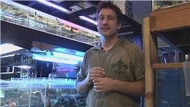 Watch How to Care for Betta Fish on Amazon Live