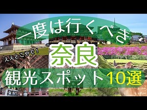 [trip][Japan][Nara] 10 must-see tourist spots [Must-see for first-time visitors][travel]