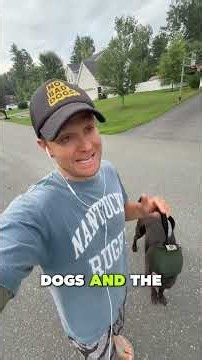 How to Redirect a Reactive Dog During Walks Before They Take Control