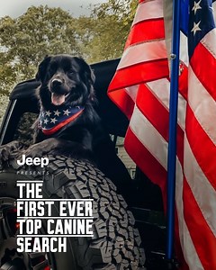 Let's have a round of appaws for our #JeepTopCanine winner Bear! Congrats to Bear and his family. Keep an eye out for exclusive Bear content in the future. Happy #NationalDogDay | Jeep